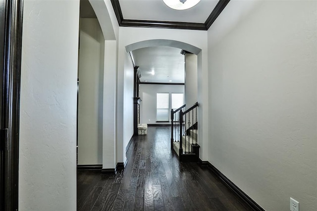 hallway featuring crown molding and dark wood-type flooring