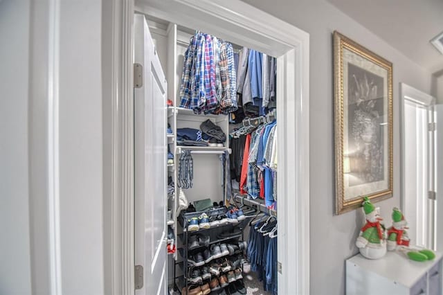 view of walk in closet