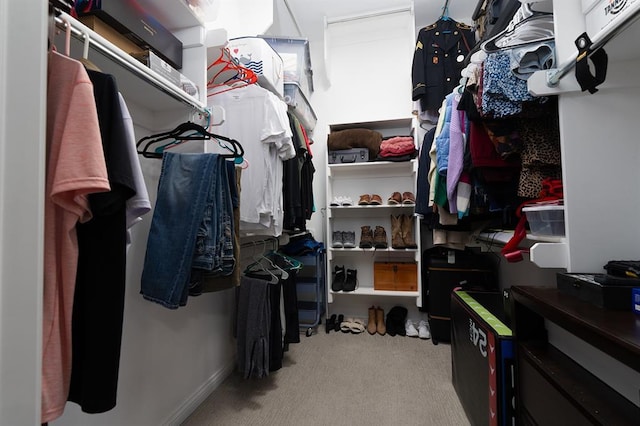 spacious closet with light carpet