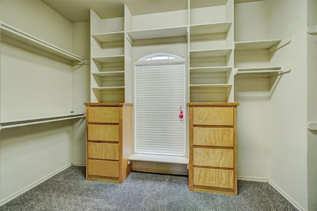 walk in closet featuring dark carpet