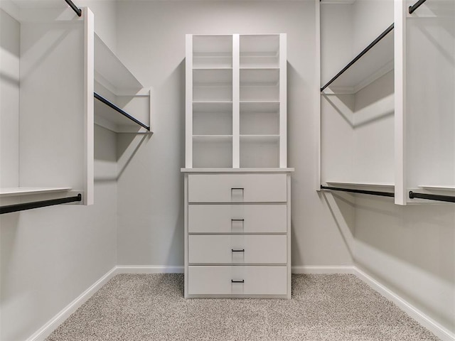 walk in closet with a barn door and light carpet