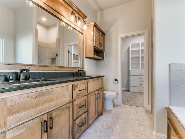 bathroom with vanity, a shower with shower door, and toilet