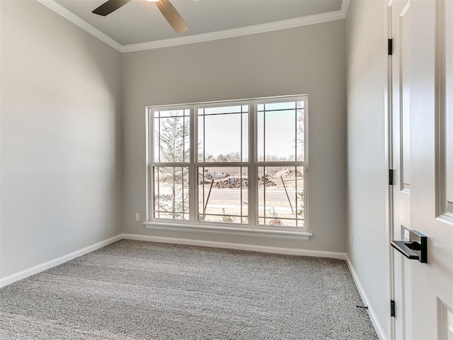 empty room with ceiling fan, carpet, and ornamental molding