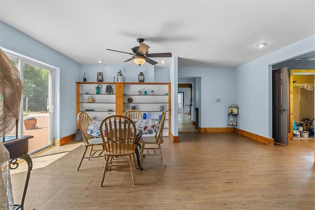 dining area with light hardwood / wood-style floors and ceiling fan