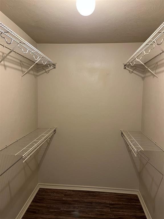 spacious closet featuring dark wood-type flooring