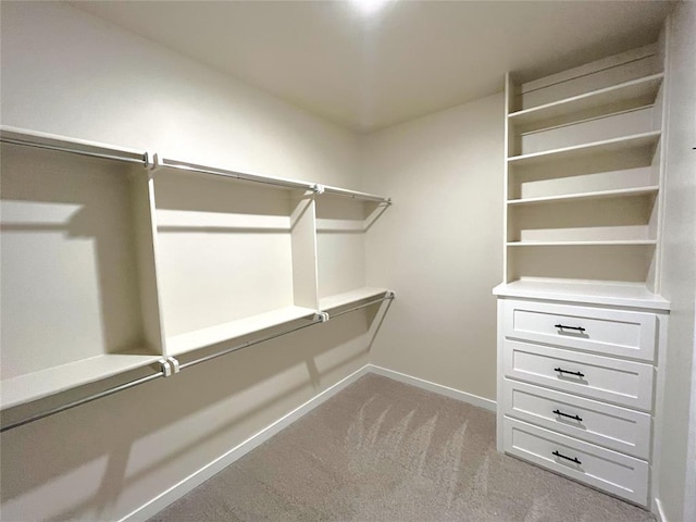 spacious closet featuring light carpet