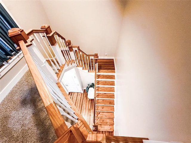 stairway featuring carpet