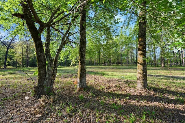21534 N US Highway 259, Broken Bow, OK 74728