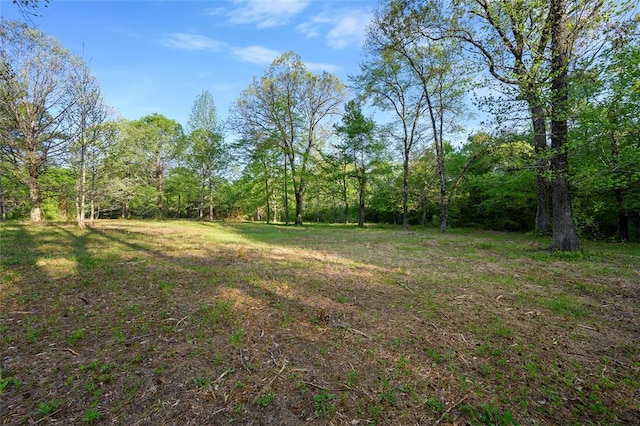 21534 N US Highway 259, Broken Bow, OK 74728