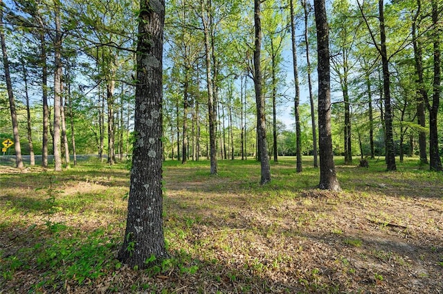 21534 N US Highway 259, Broken Bow, OK 74728