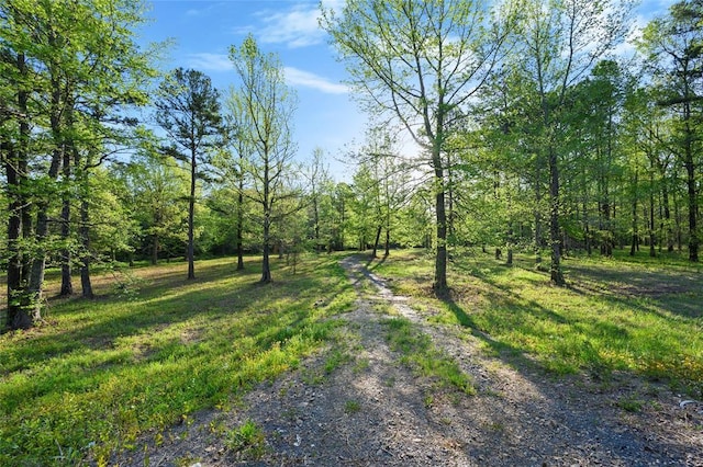 21534 N US Highway 259, Broken Bow, OK 74728