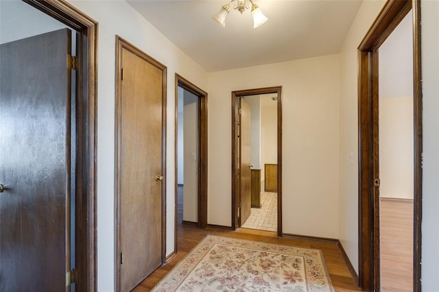 hall featuring light hardwood / wood-style floors