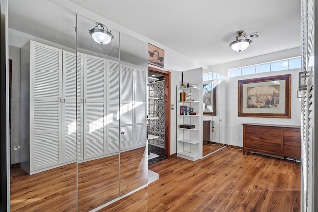 interior space with hardwood / wood-style floors and a closet