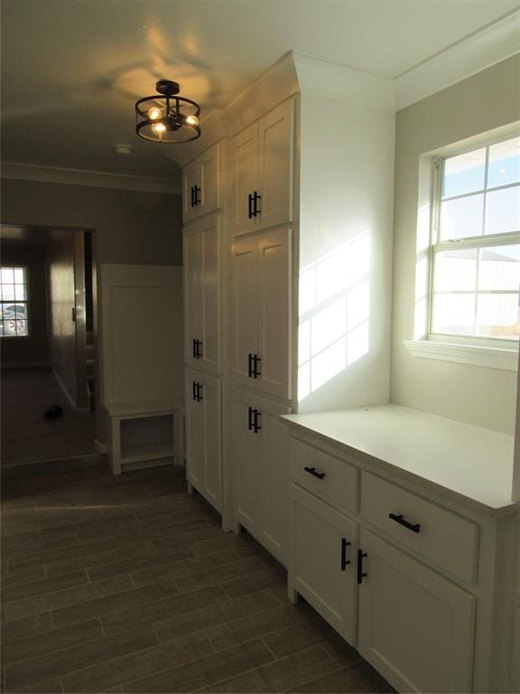 mudroom with dark wood-type flooring and ornamental molding