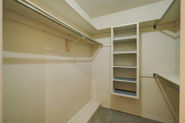 walk in closet with carpet flooring