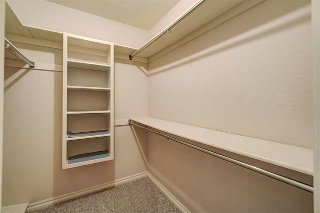 walk in closet with carpet floors