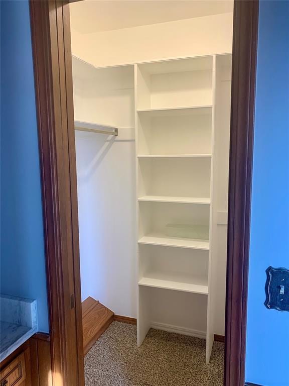 spacious closet with carpet flooring