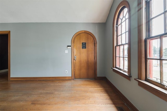 spare room featuring light hardwood / wood-style floors, vaulted ceiling, and plenty of natural light