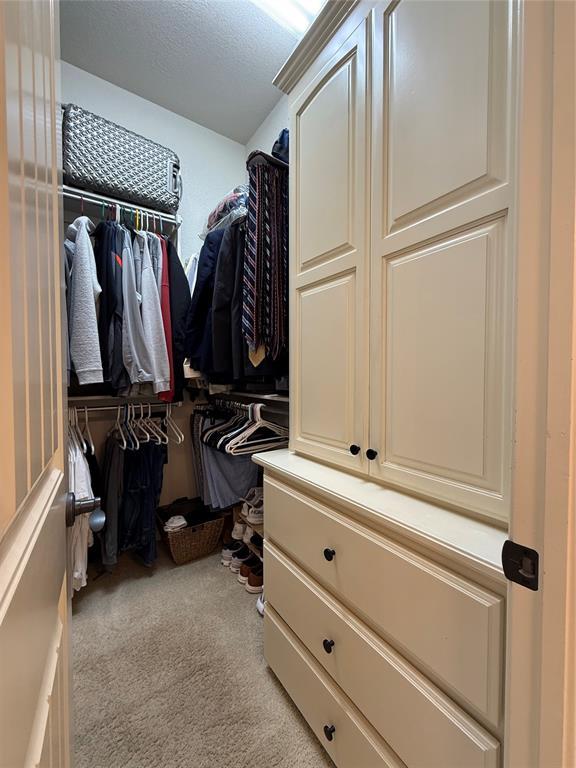 spacious closet with light colored carpet