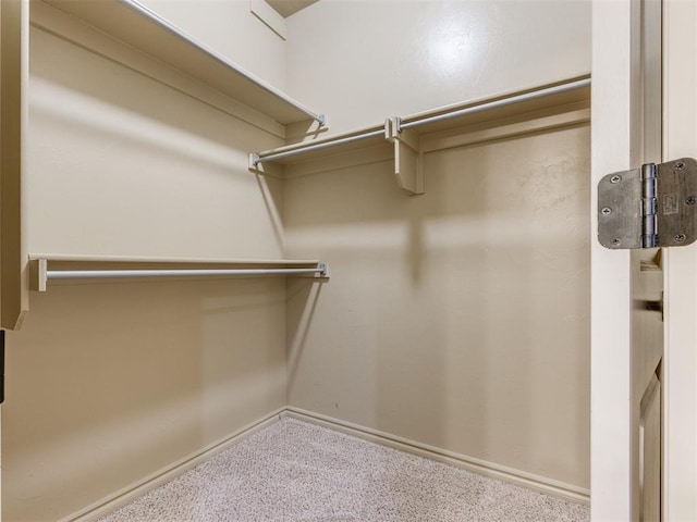 spacious closet featuring carpet floors