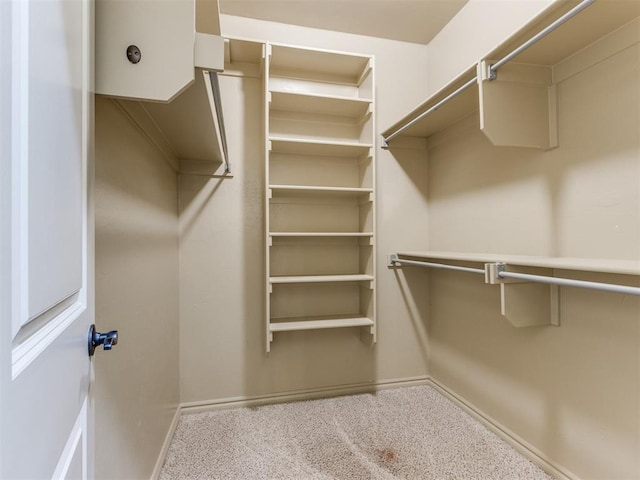 spacious closet with carpet