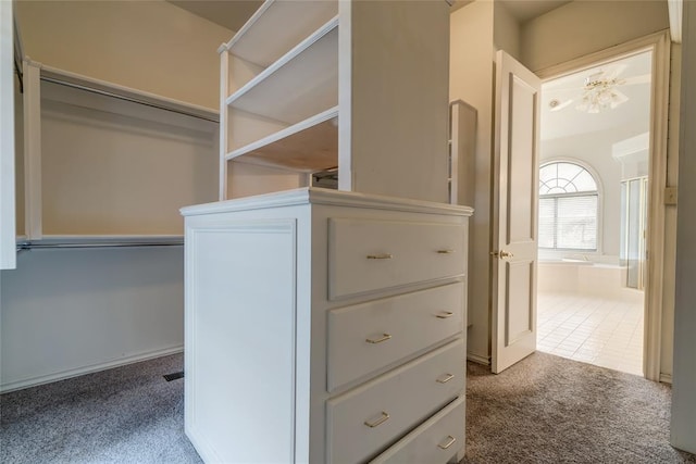 spacious closet featuring carpet floors