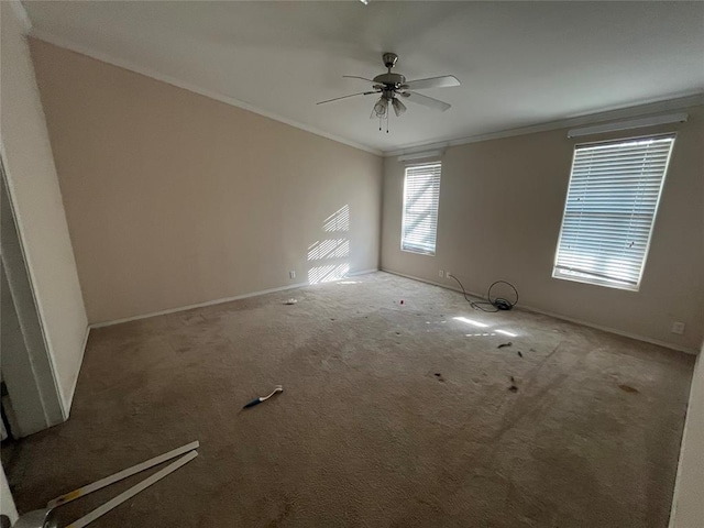 unfurnished room with carpet flooring, ceiling fan, and crown molding