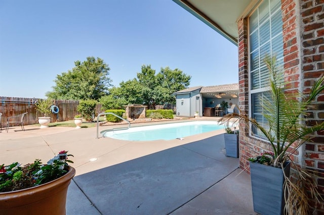 view of pool featuring a patio area and a storage shed