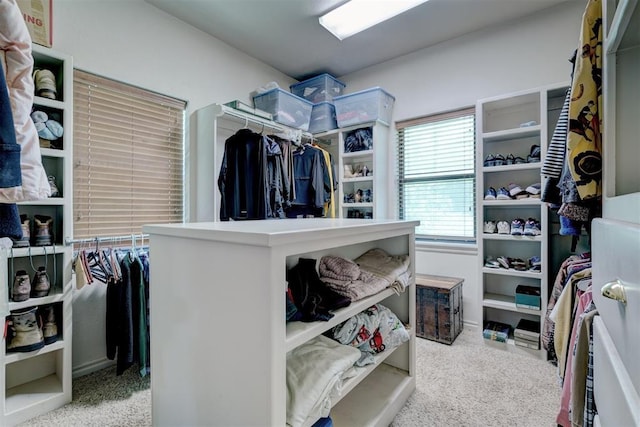 spacious closet with light carpet