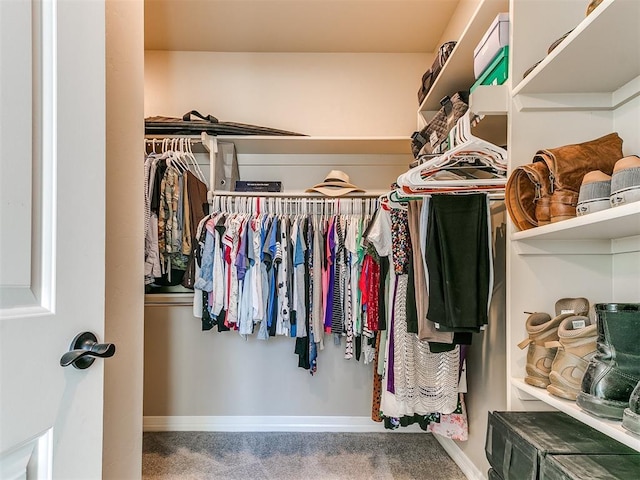 walk in closet featuring carpet floors