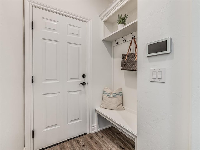 mudroom featuring wood-type flooring