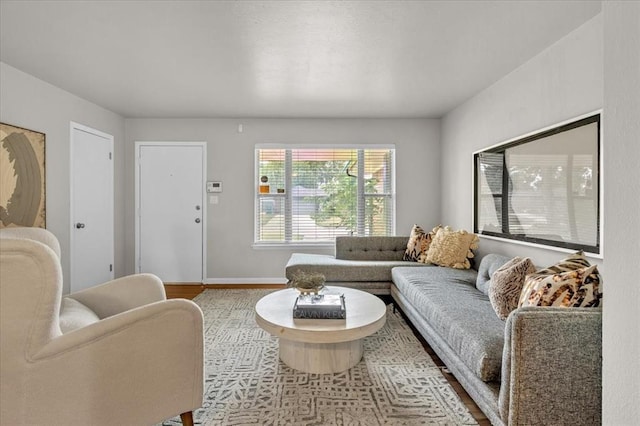 living room with light wood-type flooring