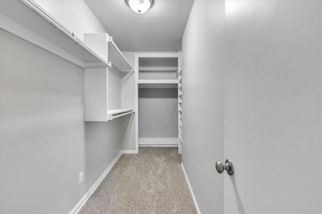 spacious closet featuring light colored carpet