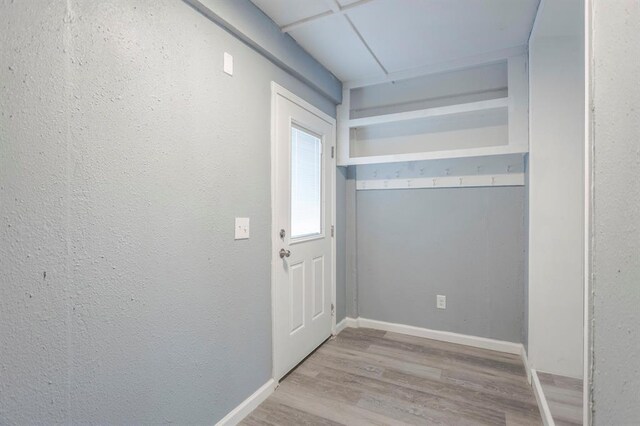 doorway with light hardwood / wood-style flooring