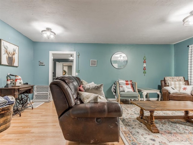 living room featuring light hardwood / wood-style floors