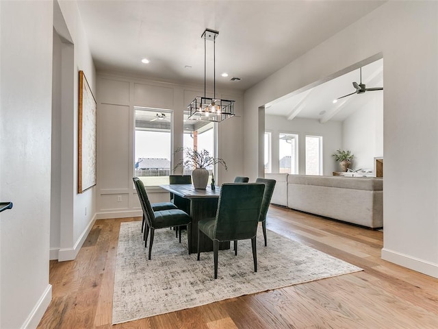 dining room featuring beam ceiling, light wood-type flooring, and ceiling fan