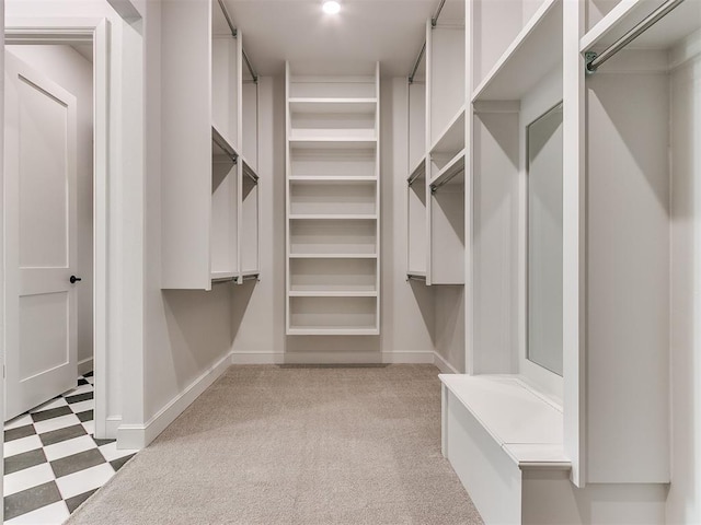 walk in closet with light carpet