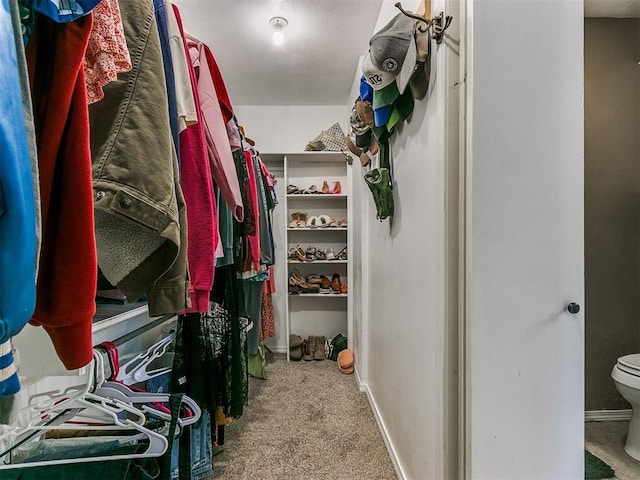 walk in closet featuring carpet flooring