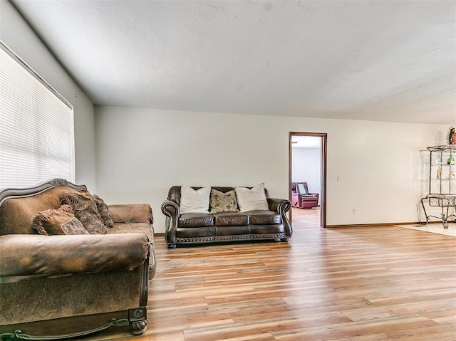 living room with light hardwood / wood-style flooring