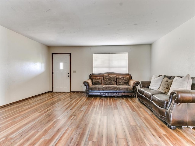 living room featuring wood-type flooring