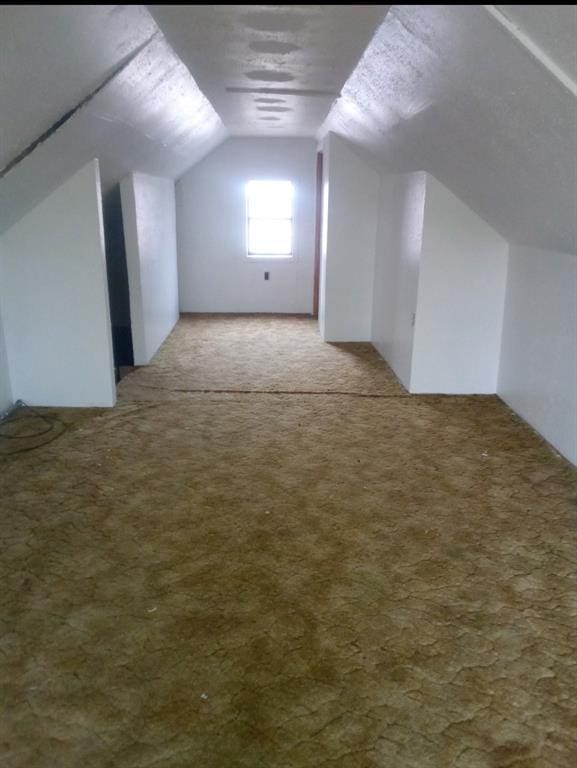 additional living space featuring lofted ceiling and carpet floors