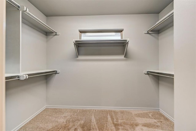 walk in closet featuring light colored carpet