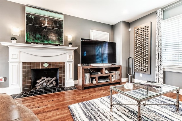 living room featuring wood-type flooring and a fireplace