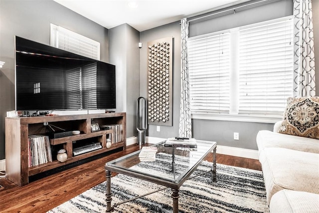 living room featuring hardwood / wood-style floors