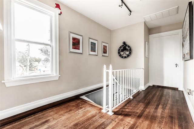 hallway with dark hardwood / wood-style floors and rail lighting