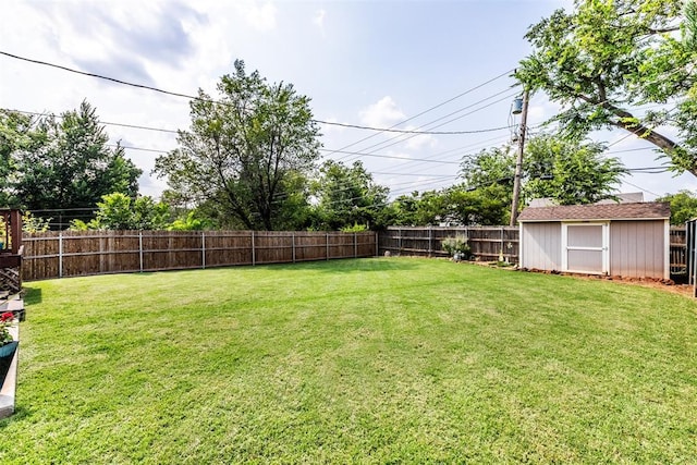 view of yard featuring a shed