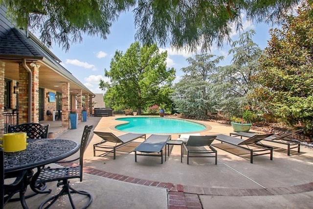 view of pool with a patio area