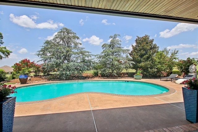 view of swimming pool featuring a patio area