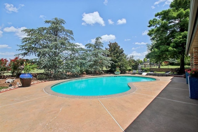 outdoor pool with a patio area