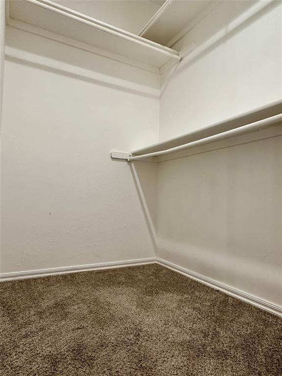 walk in closet featuring carpet